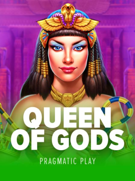 Experience Thrilling Live Dealer Games at ArcadeBet Casino